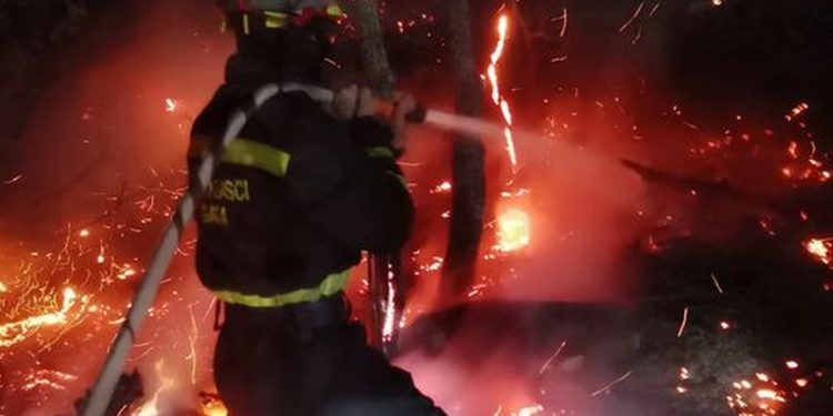 POŽAR I U TUGARAMA Na terenu su vatrogasci iz Omiša i Gata