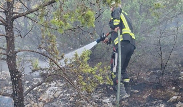 POŽAR IZMEĐU ČITLUKA I LJUBUŠKOG Na terenu više vatrogasnih ekipa