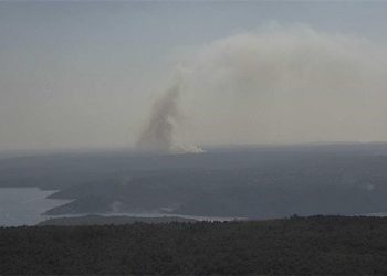 POŽAR KOD PULE Gori šuma i trava, a vjetar mijenja smjer
