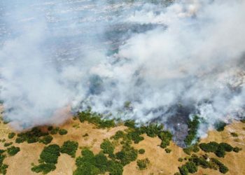 POŽAR POD KONTROLOM Vatrogasci lokalizirali veliki požar u Istočnoj Hercegovini