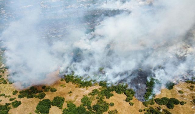 POŽAR POD KONTROLOM Vatrogasci lokalizirali veliki požar u Istočnoj Hercegovini