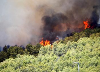 OGLASILA SE POLICIJA Ispalio signalnu raketu i izazvao požar na Kornatima, ovo su detalji | NACIONAL.HR