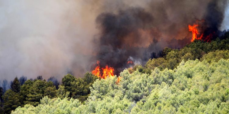 OGLASILA SE POLICIJA Ispalio signalnu raketu i izazvao požar na Kornatima, ovo su detalji | NACIONAL.HR