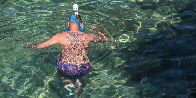 GRIZU VAS RIBE? Stručnjaci objašnjavaju zašto, dijelu građana savjetuju da ne ulaze u more | NACIONAL.HR