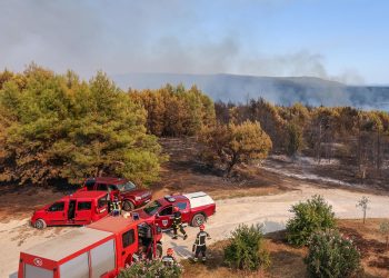 KUĆE OBRANJENE Lokaliziran veliki šumski požar na području Barbana, jedan vatrogasac lakše ozlijeđen | NACIONAL.HR