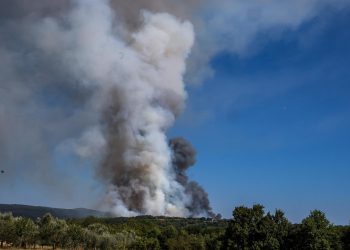 UGROŽENE I KUĆE U zadarskom naselju Bokanjac izbio požar, vatrogasci zatražili pomoć kanadera | NACIONAL.HR