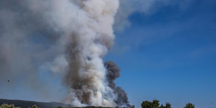 UGROŽENE I KUĆE U zadarskom naselju Bokanjac izbio požar, vatrogasci zatražili pomoć kanadera | NACIONAL.HR