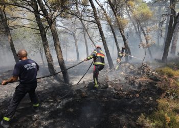 Požari u Dalmaciji još se uvijek saniraju: Neki su aktivni, evo što javljaju vatrogasci