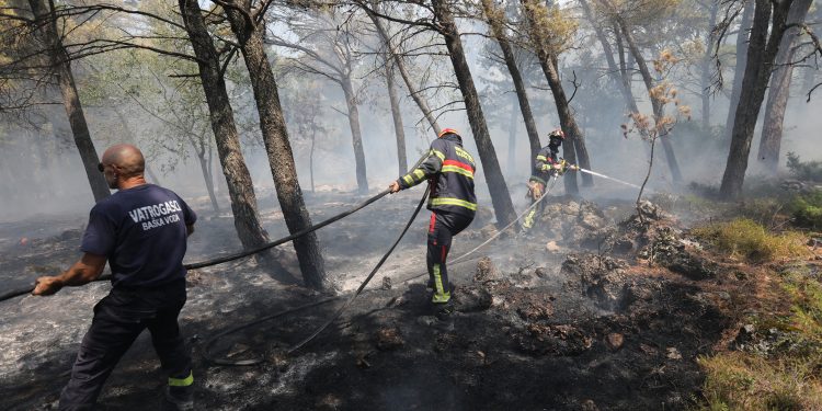 Požari u Dalmaciji još se uvijek saniraju: Neki su aktivni, evo što javljaju vatrogasci