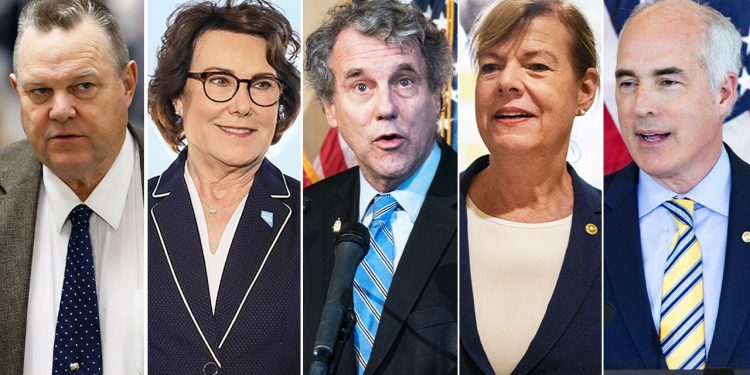 Rezultati glasovanja demografskih zastupnika s Biden-Harrisom u središtu pozornosti uoči tijesnih utrka