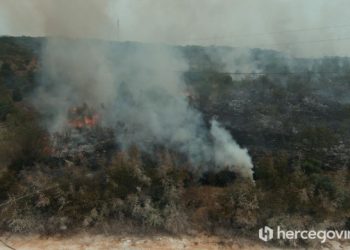 ŠUMA I RASLINJE U PLAMENU Na području HNŽ-a registrirano osam požara