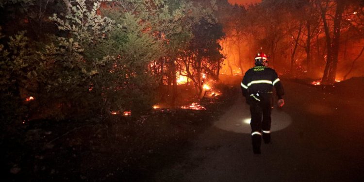 Sasuli ‘paljbu’ na ženu što je učinila usred požara: ‘To su beskrupulozni grabežljivci’