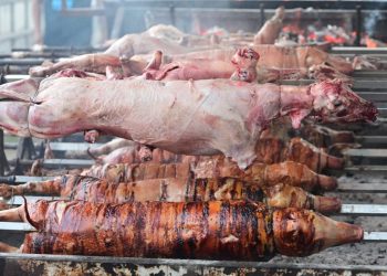 Sinj se pretvorio u veliki restoran na otvorenom: Evo koji se sve specijaliteti nude i po kojim cijenama