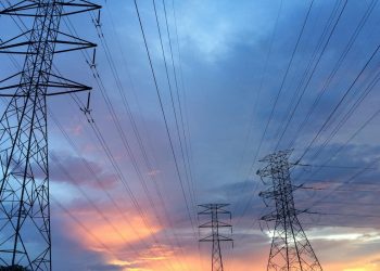 Sjekao drva u blizini dalekovoda u Istri i smrtno stradao!