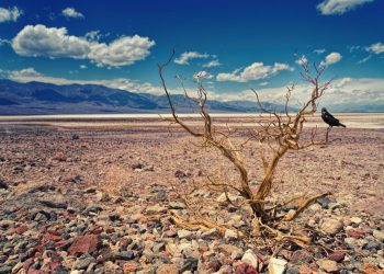 Suša kakva se ne pamti na Siciliji