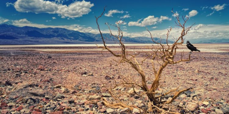 Suša kakva se ne pamti na Siciliji