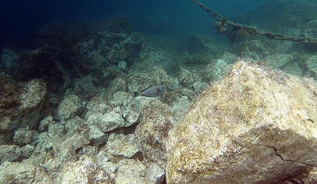 U Jadranu zabilježen nesvakidašnji prizor: Stigla je riba kakve do sada nije bilo