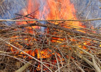 Unatoč katastrofalnim požarima, idioti i dalje roštiljaju i pale korov, policija apelira: “Molimo vas, suzdržite se!”