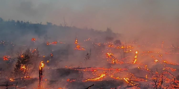 VATRENA BUKTINJA ULAZI U NOĆ Zatvorena cesta Žrnovnica-Donje Sitno za sav promet