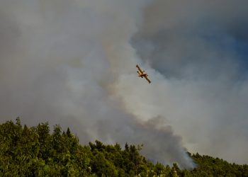 VATROGASCI DEŽURALI CIJELU NOĆ Požari u Dalmaciji stavljeni pod kontrolu