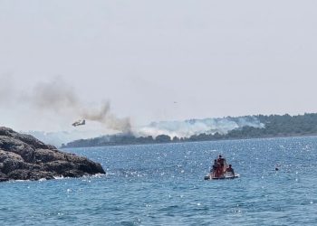 VELIKI POŽAR NA VIRU! Vatra stigla do kuća, u gašenje uključeni kanaderi