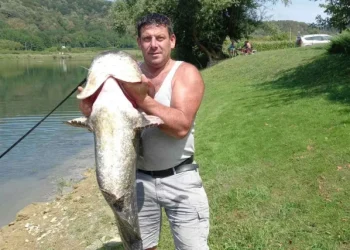 VELIKI ULOV Iz rijeke Une izvučen som kapitalac, dug je oko 1,7 metara