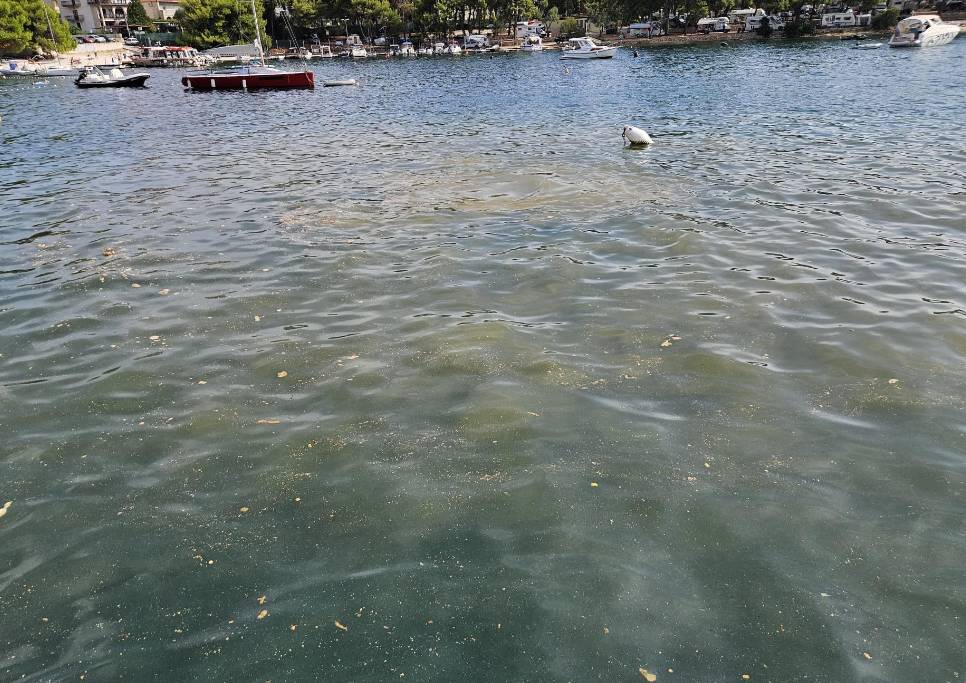 NITKO NE REAGIRA Zagađenje mora na Braču - i ovdje plivaju fekalije!