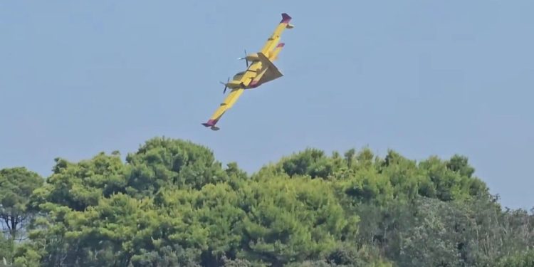VIDEO Kanaderi opet spasili stvar: Požar na Viru je lokaliziran