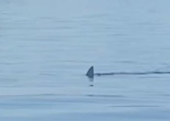 VIDEO Ribari kod dalmatinskog otoka snimili prizor koji ledi krv u žilama