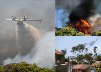 Vatrena stihija nadomak kuća kod Šibenika: Prizori su dramatični, crni dim nadvija se nad gradom