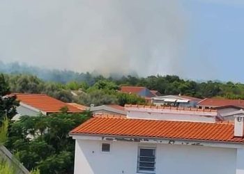 Veliki požar na Viru. Puno vatrogasaca na terenu, stigla su dva kanadera: “Došao je do kuća”