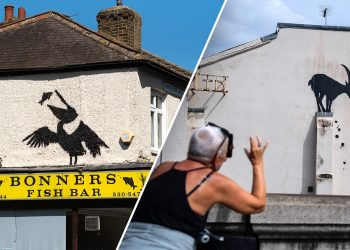 Vjeruje se da je slika londonskog zoološkog vrta koju je dovršio Banksy posljednja u nizu umjetnina