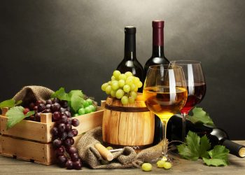 Vodič za odabir vina s hrvatske obale