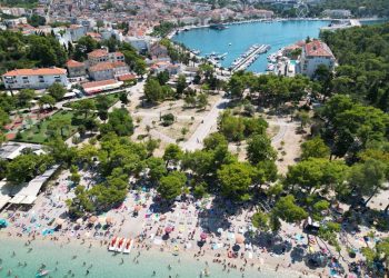 ZELENA MAKARSKA Grad godišnje planira posaditi 100 stabala