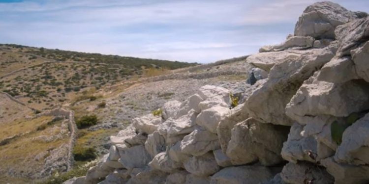 Zanimljiva gastro radionica u Kolanu na otoku Pagu!
