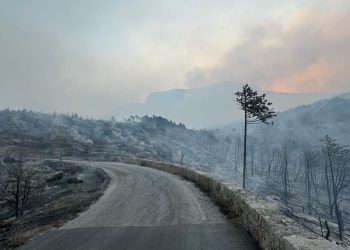 “Zanimljivo, uvijek oko Oluje!” Licemjerne teorije zavjera oko uzroka požara na Jadranu, no što je stvarni uzrok? Evo odgovora…