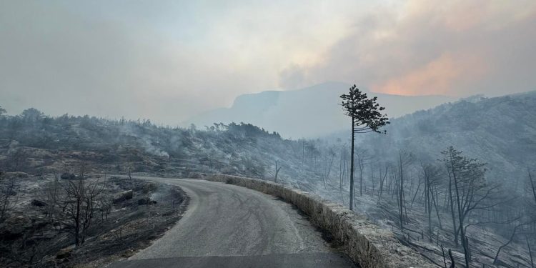 “Zanimljivo, uvijek oko Oluje!” Licemjerne teorije zavjera oko uzroka požara na Jadranu, no što je stvarni uzrok? Evo odgovora…