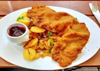 EUROPSKA SRAMOTA Austrijski desničari daju ‘šnicl bonus’ tradicionalnim restoranima bez kebaba | NACIONAL.HR