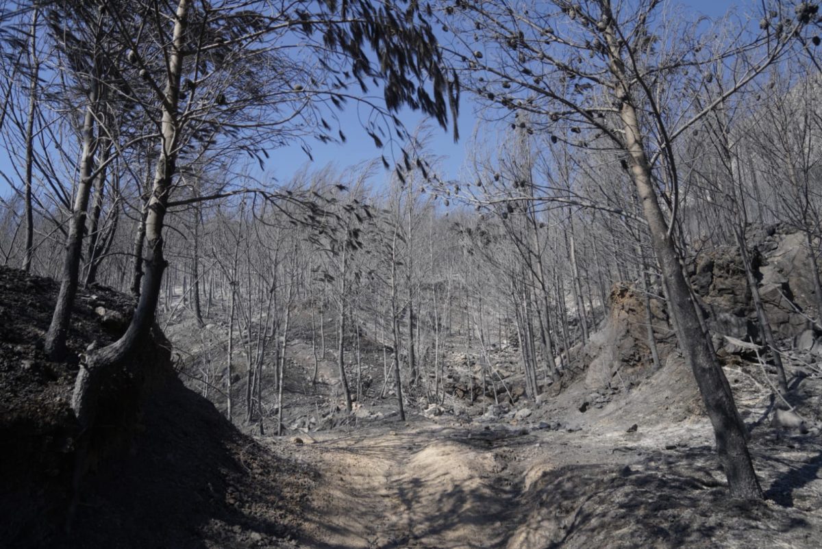 pozar vatra rupotine solin vatrogasci IGOR JAK  I    14