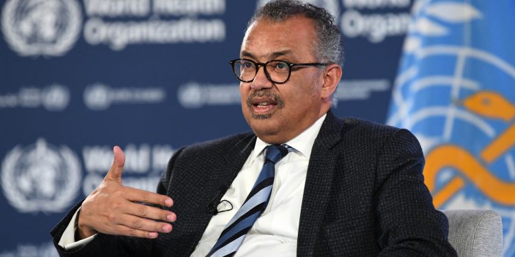 NAJVIŠA RAZINA UZBUNE! WHO zbog majmunskih boginja proglasio javnozdravstvenu krizu: Evo kako se šire | NACIONAL.HR