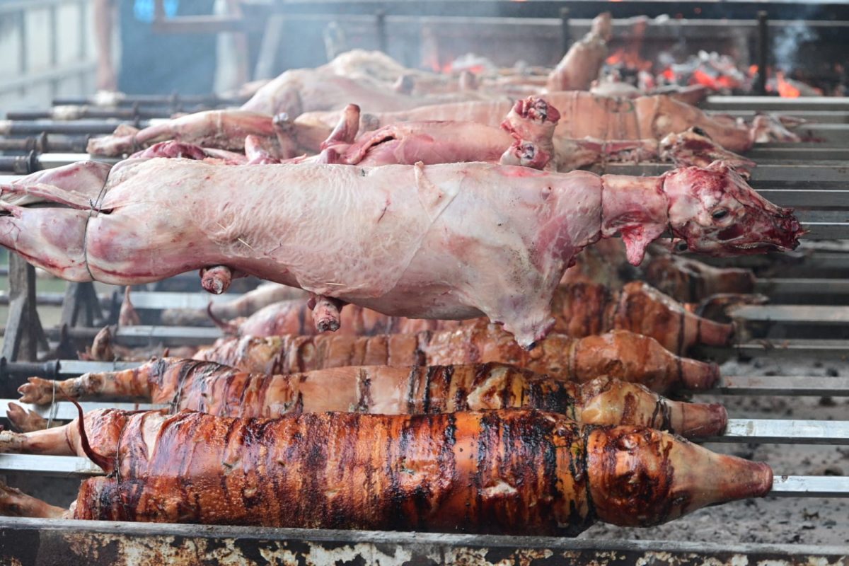 velika gospa sinj gospin zezen roko 35 