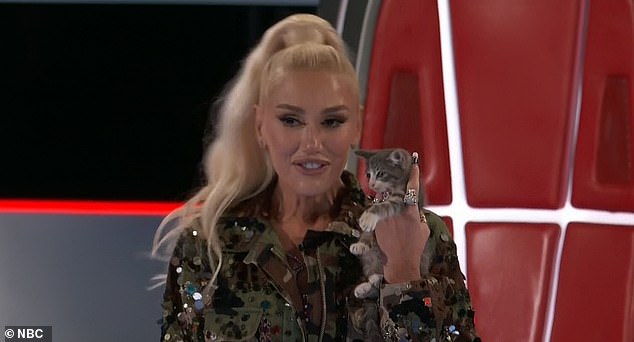 Gwen Stefani ovog je tjedna na The Voiceu kritikovala zbog svog 'užasavajućeg' tretmana 'prestrašenog' mačića