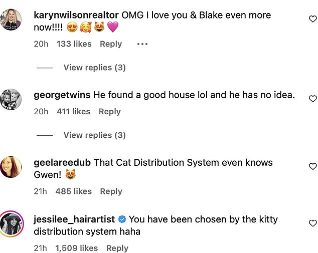 'Taj Cat Distribution System poznaje čak i Gwen!', duhovito je dobacio jedan obožavatelj, dok je drugi dodao, 'Tebe je izabrao sustav distribucije mačića haha'