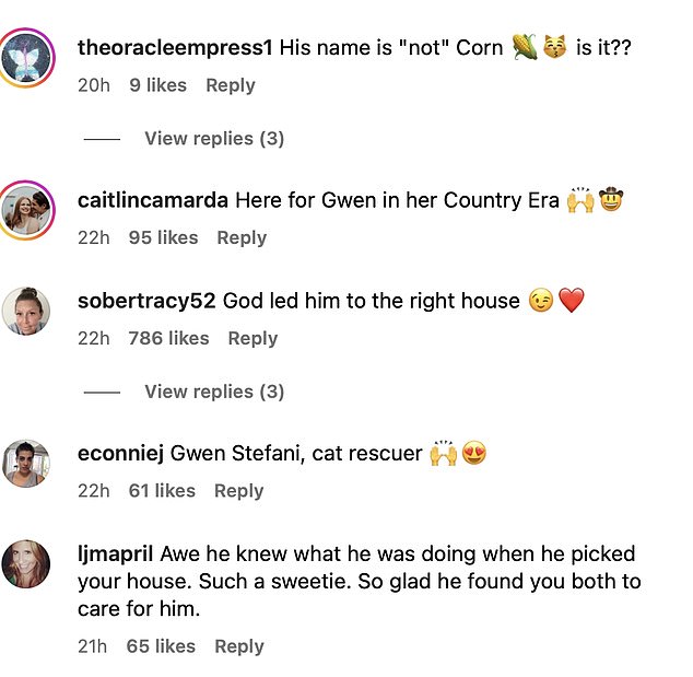 'Ovdje za Gwen u njezinoj seoskoj eri', napisao je netko drugi, dok je drugi obožavatelj istaknuo očito, 'zamislite da ste mačka @gwenstefani & @blakeshelton? Šališ se?'