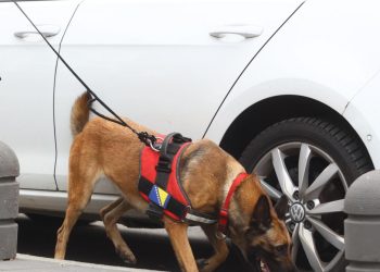 Auto Klub – Bizaran patent: Ford predstavio sustav koji otkriva drogu u automobilu