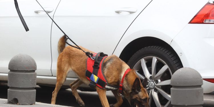 Auto Klub – Bizaran patent: Ford predstavio sustav koji otkriva drogu u automobilu