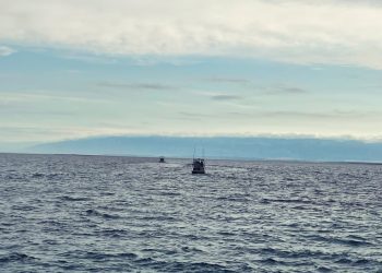 Big game fishing na Silbi