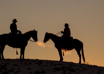 ‘Brokeback Mountain’ blokiran u Rusiji — RT Entertainment