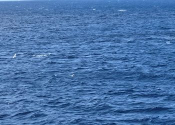 Bura na sjevernom i srednjem Jadranu, a jugo jača na južnom