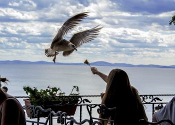 Cijene u kolovozu 2024. više za 1,8% na godišnjoj razini